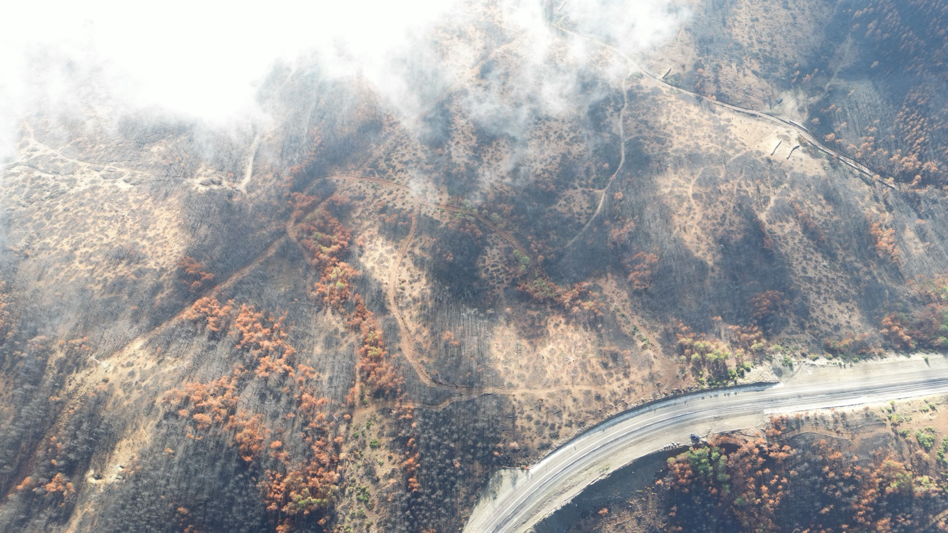 climate change overheated Earth smoke digital illustration