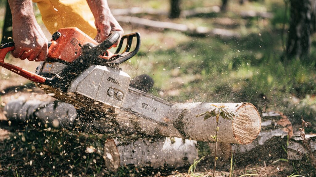illegal logging in Amazon rainforest man using chainsaw