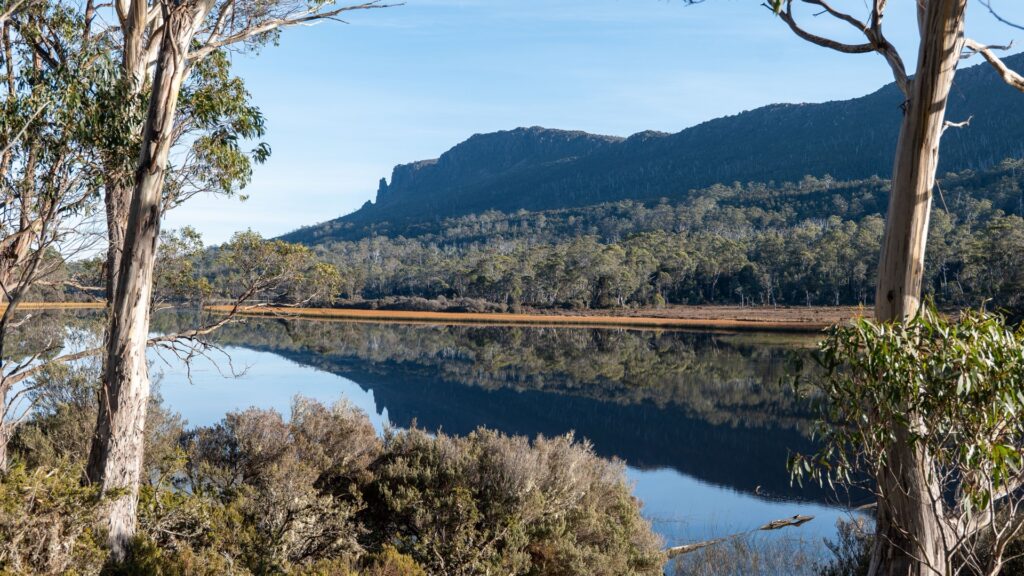 Tasmanian Wilderness temperate rainforest mountain lake reflection