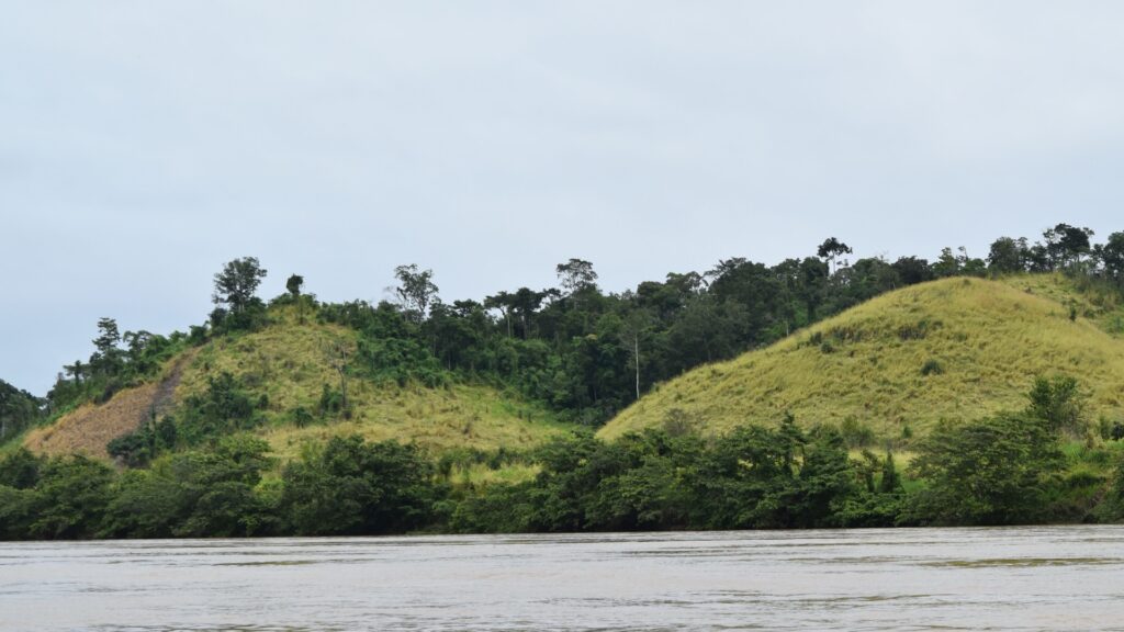 Ubangi River Congo rainforest landscape