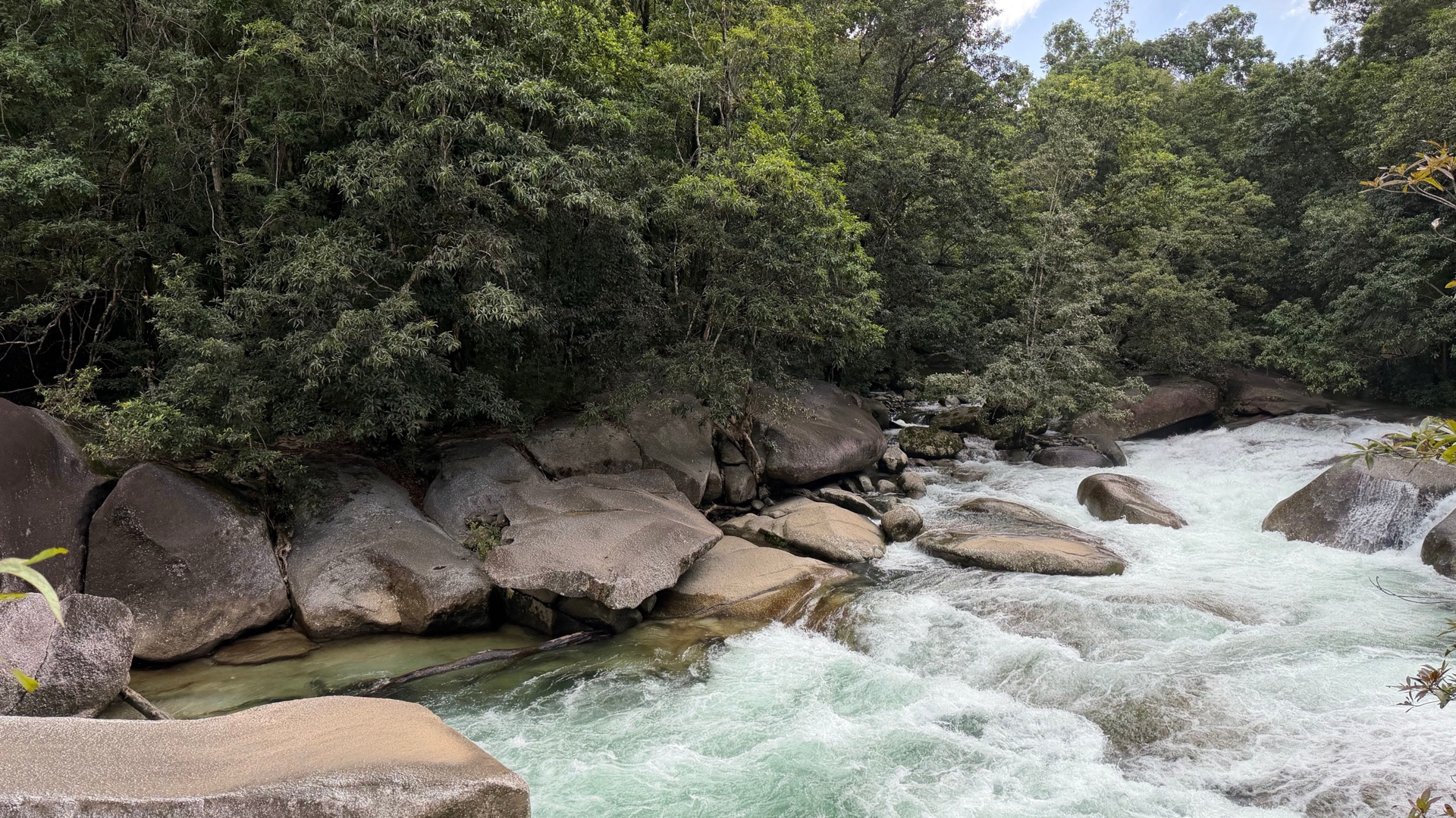 Rocky stream flowing through a tropical rainforest