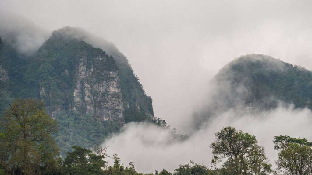 nebelverhangenes Regenwaldtal im Khao-Sok-Nationalpark, Thailand
