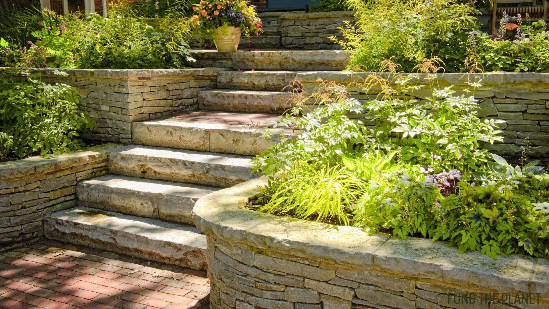 5 Sustainable STEPS
