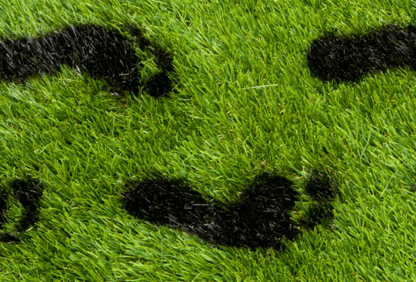 carbon footprint