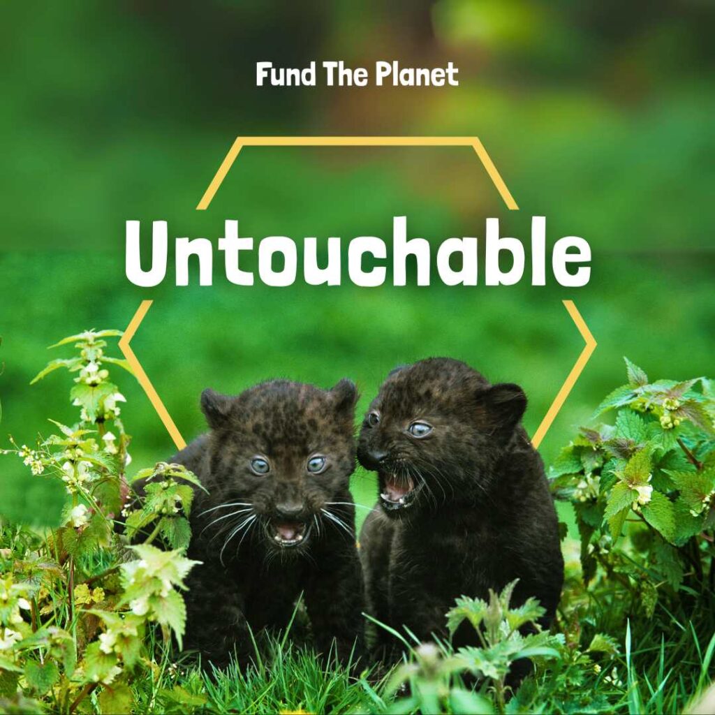 2 black panther - make rainforest untouchable