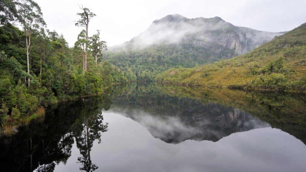 Die tasmanische Wildnis ist ein australischer gemäßigter Regenwald
