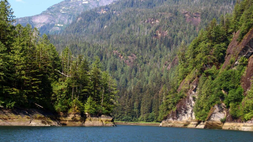 TONGASS MPERATE REGENWÄLDER