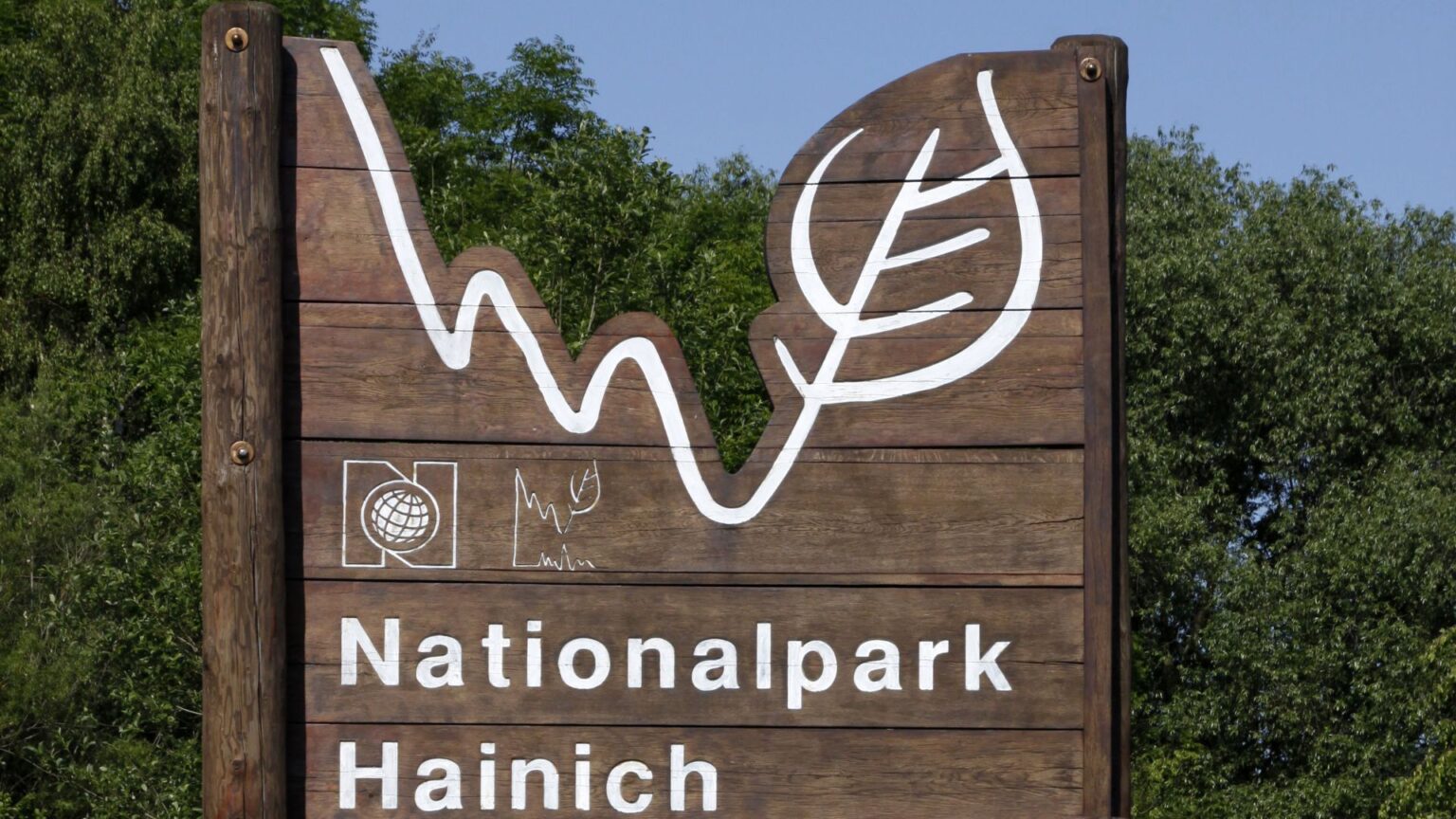 A Journey Through German Forests: 5 Historical and Ecological Insights ...