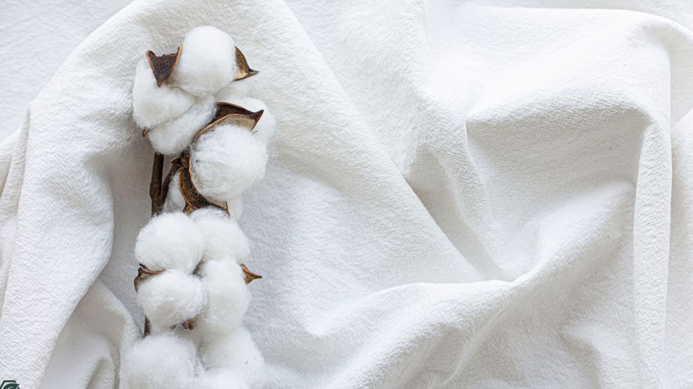 Environmental effects of Cotton