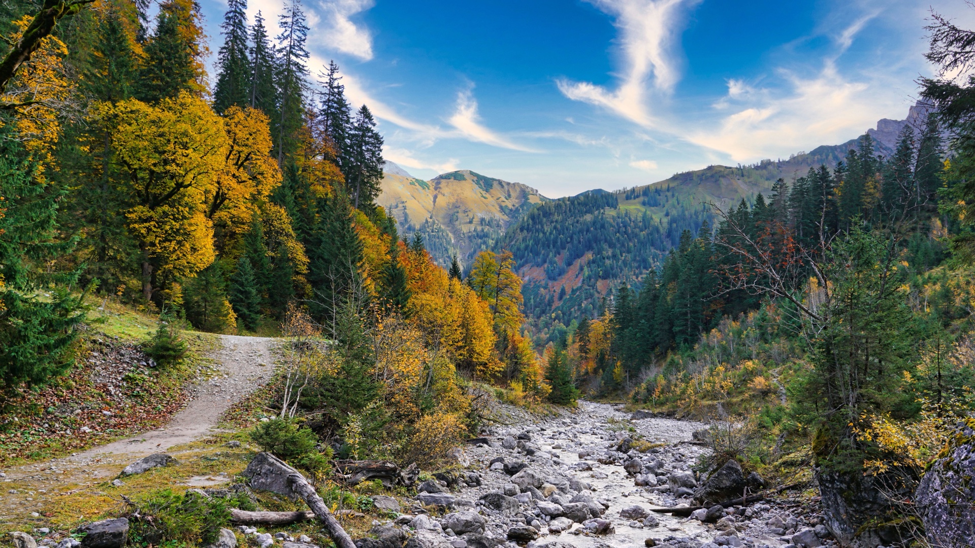 clear mountain river through forest valley