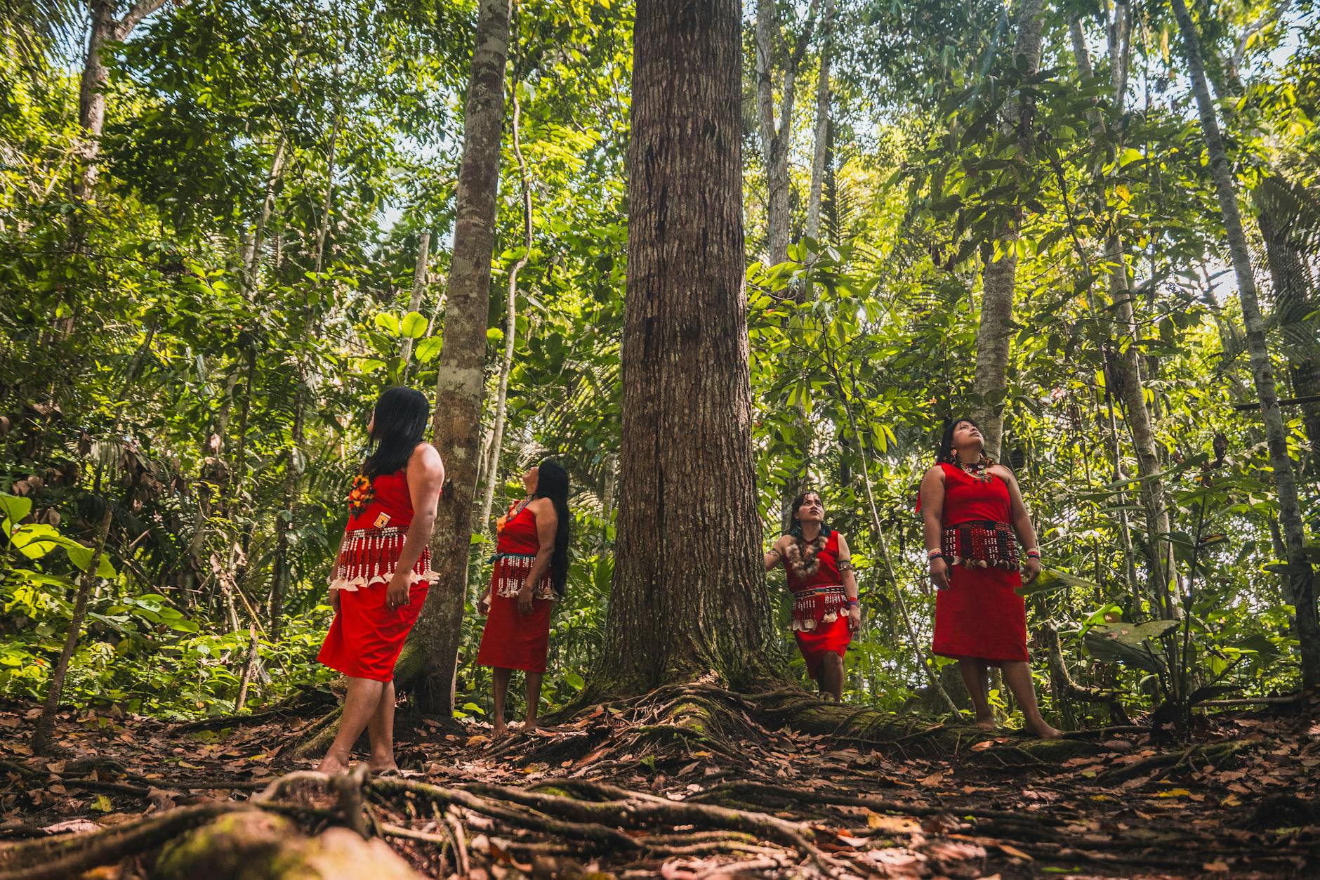 Indigenous women in traditional attire within the lush Amazon rainforest of Peru.