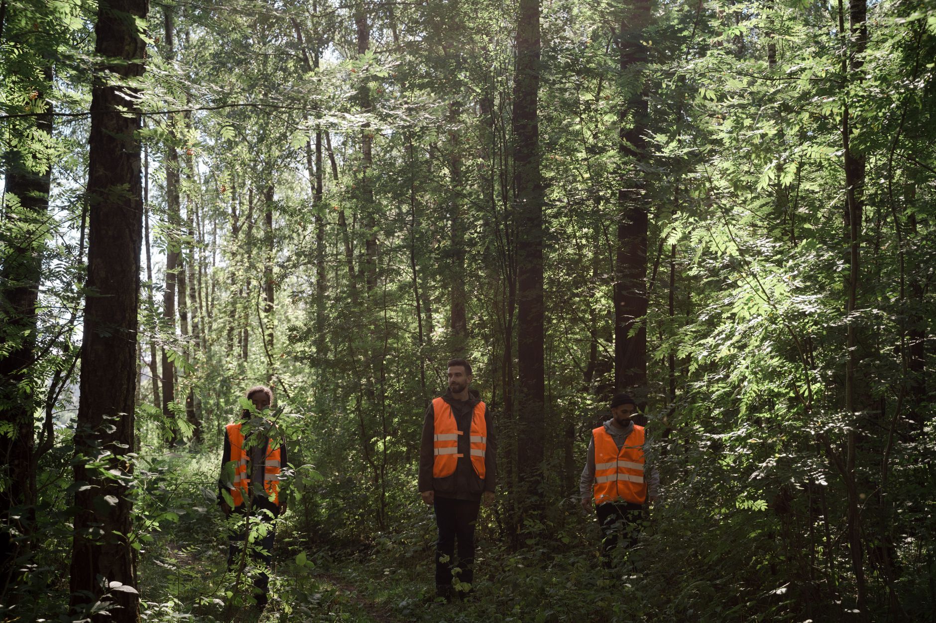 Group of workers in orange safety vests walking through a lush forest protecting a nature reserve.