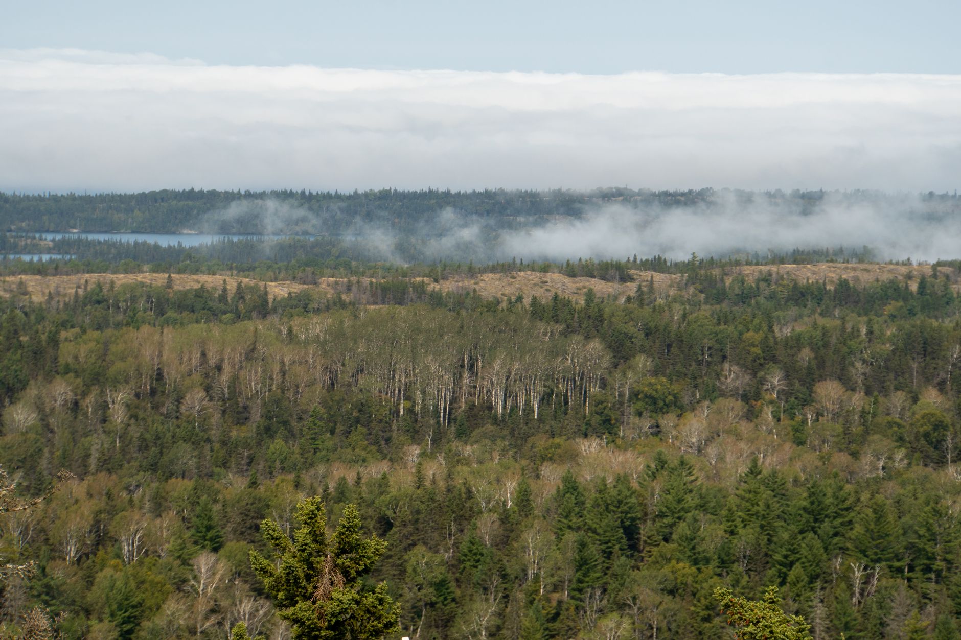 Scenic view of fog-covered forests and lakes in Isle Royale National Park, Michigan.