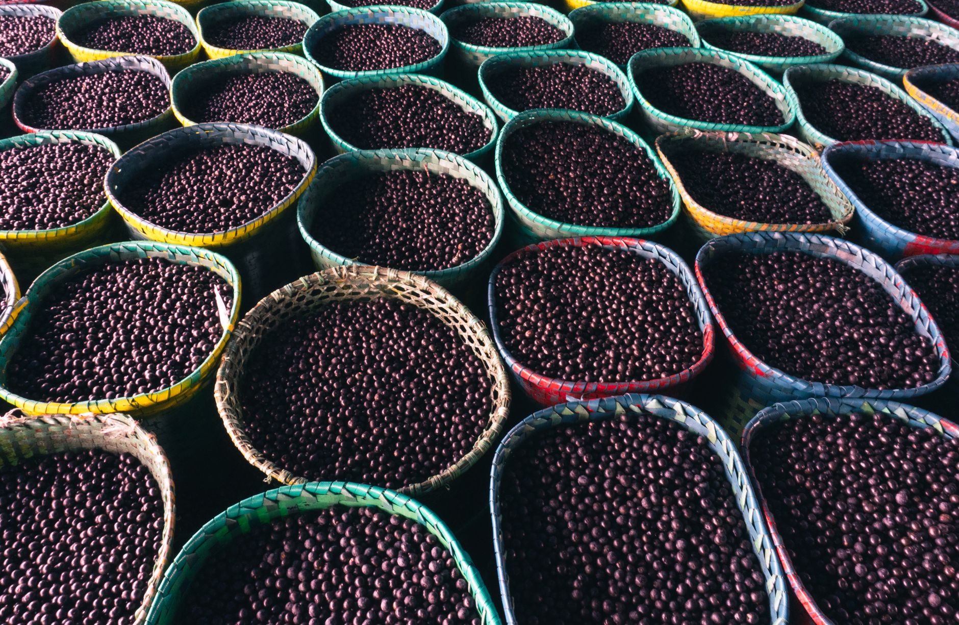 Açaí berries in baskets at a market in Belém, Pará