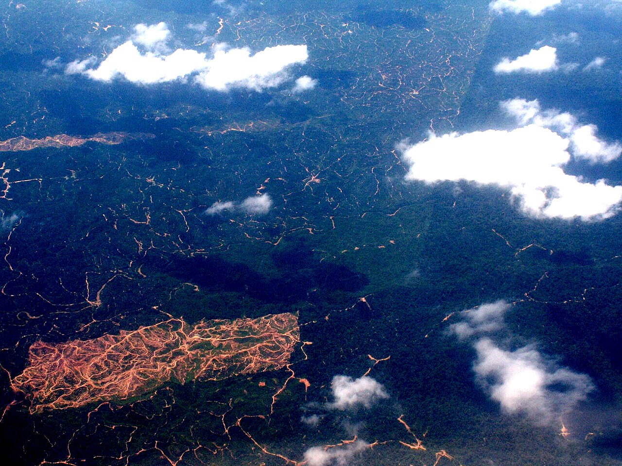 Aerial view of oil palm clearing in Borneo.